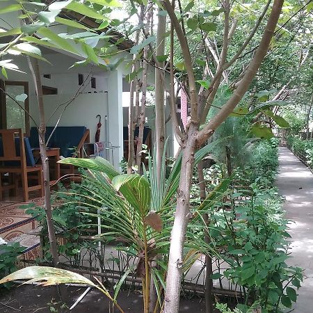 Putri Homestay Gili Meno Exteriör bild