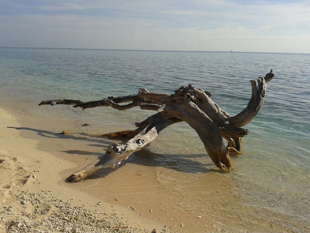 Putri Homestay Gili Meno Exteriör bild