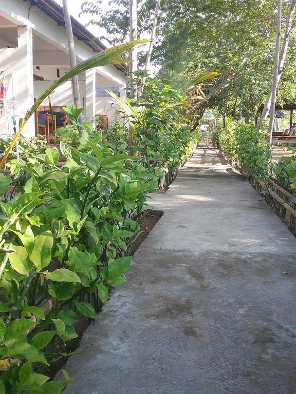 Putri Homestay Gili Meno Exteriör bild