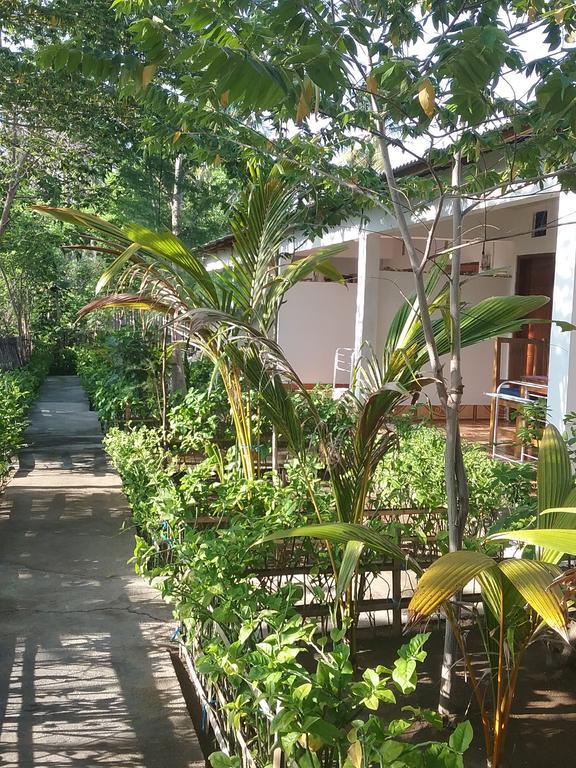 Putri Homestay Gili Meno Exteriör bild