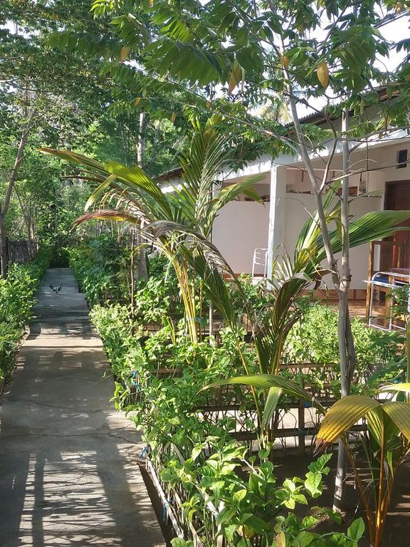 Putri Homestay Gili Meno Exteriör bild